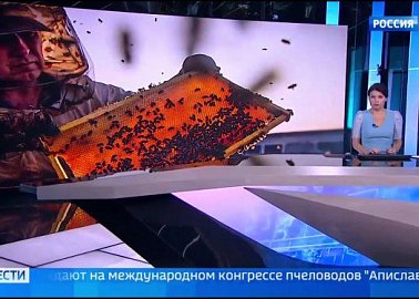 Видеосюжет телеканала Россия 1 о XXII международном Конгрессе Апиславии