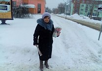 Новомосковский штаб поддержки Павла Грудинина провел пикеты в трех районах города