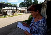 В Донском развернута кампания  против повышения пенсионного возраста
