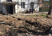 Олег Лебедев вместе с жителями посадил деревья и встретился с избирателями
