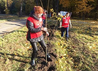 Тульский обком продолжает акцию «100 деревьев в честь столетия Великого Октября!».