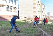 В Туле продолжается акция «Сад Победы - Сад Жизни» В Туле продолжается акция «Сад Победы - Сад Жизни»