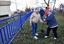 В Туле продолжается акция «Сад Победы - Сад Жизни» В Туле продолжается акция «Сад Победы - Сад Жизни»