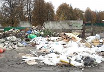 Ситуация с вывозом мусора в Алексине становится катастрофической Ситуация с вывозом мусора в Алексине становится катастрофической