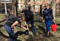 Олег Лебедев вместе с жителями посадил деревья и встретился с избирателями