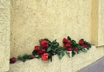 Тульские коммунисты почтили память В.А. Стародубцева