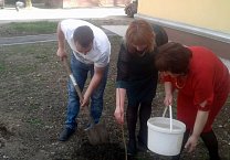 Коммунисты сажают деревья в тульских дворах Коммунисты сажают деревья в тульских дворах