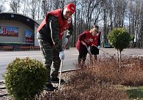 Тульские коммунисты приняли участие в общеобластном субботнике