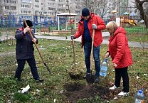 Коммунисты посадили деревья в Советском округе Тулы Коммунисты посадили деревья в Советском округе Тулы