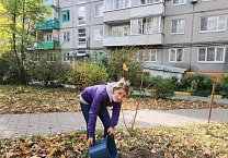 САД Победы САД Победы