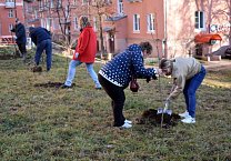 В Туле продолжается акция «Сад Победы - Сад Жизни» В Туле продолжается акция «Сад Победы - Сад Жизни»