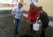 Коммунисты сажают деревья в тульских дворах Коммунисты сажают деревья в тульских дворах