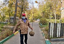 САД Победы САД Победы