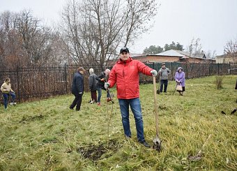 В Тульской области продолжается акция «Сад Победы - Сад Жизни» В Тульской области продолжается акция «Сад Победы - Сад Жизни»