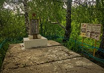 Кимовские коммунисты провели акцию "Сирень Победы " высадив саженцы на братских захоронениях деревни Александровка и Гранки в честь Дня памяти и скорби