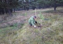 Алексин присоединился к акции «Сад Победы - Сад Жизни»