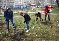 Коммунисты посадили деревья в Советском округе Тулы Коммунисты посадили деревья в Советском округе Тулы