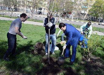 Тульский обком КПРФ в мае провел серию акций по посадке деревьев в парках, дворах и скверах города-героя Тулы. 