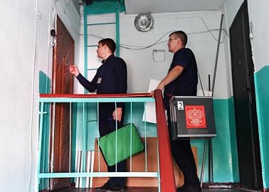 "Эпидемия надомного голосования" "Эпидемия надомного голосования"