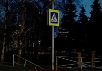Местные активисты и коммунисты провели рейд по пешеходным переходам в центральном микрорайоне города Донской