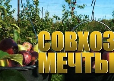 "Совхоз мечты". Специальный репортаж телеканала "Красная линия" к 105-й годовщине создания Совхоза имени В.И. Ленина