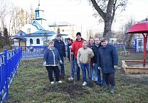 В Туле продолжается акция «Сад Победы - Сад Жизни» В Туле продолжается акция «Сад Победы - Сад Жизни»